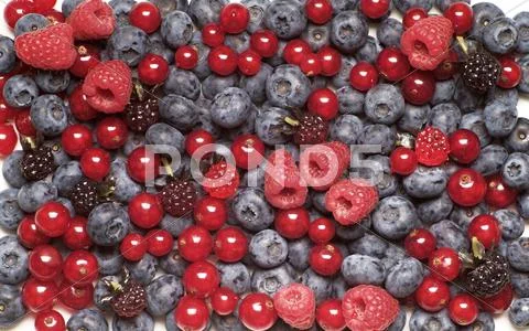 Mix Of Berry Fruits - Full Frame