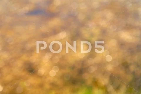 Mix of brown colour Stock Photos