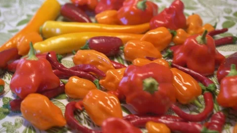 Mix of Chili Peppers Close-Up Including Habanero, Jalapeno, Cayenne, Harvey Stock Footage 252421541