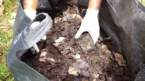 Mix compost 스톡 동영상 157609975