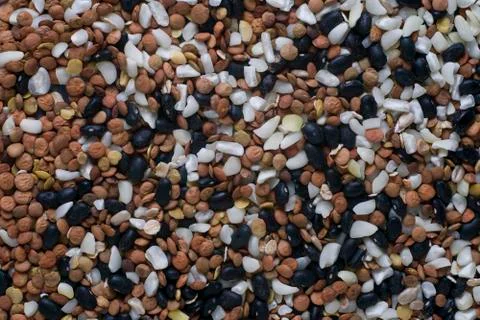 A mix of different seeds Stock Photos