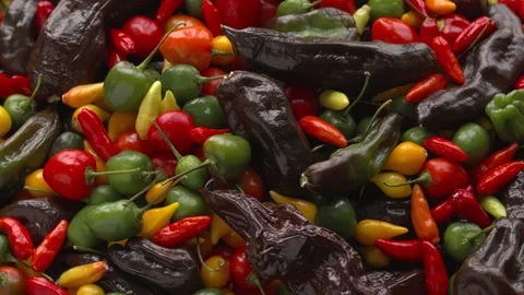 Mix of different types of chilies. Seamless loop. Stock Footage 277609894