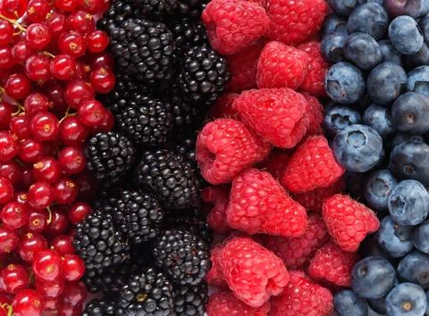 Mix of differrent berries Stock Photos