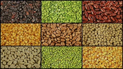 Mix of dried beans background rotation split screen 4k Video stock 53210505