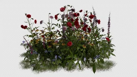 Mix Flower Field blowing in the wind Loop Animation. Alpha Channel Stock Footage 308779031