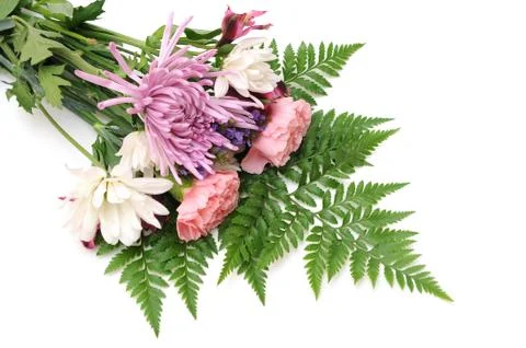 Mix  flower Stock Photos