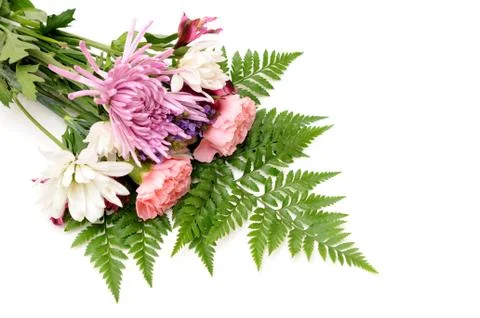 Mix flower Stock Photos