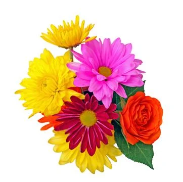 Mix of flower Stock Photos