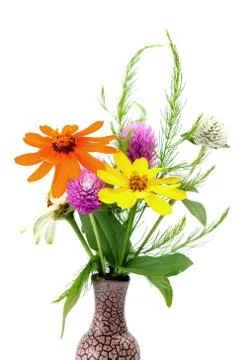 Mix flower Stock Photos