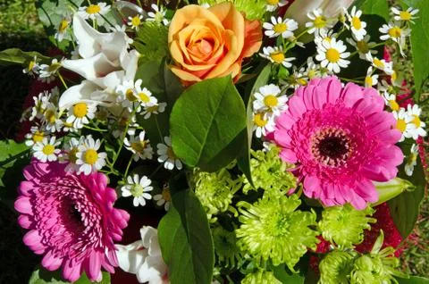 A mix of flowers Foto stock