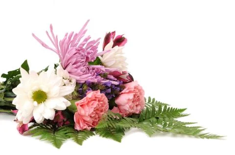 Mix of flowers Stock Photos