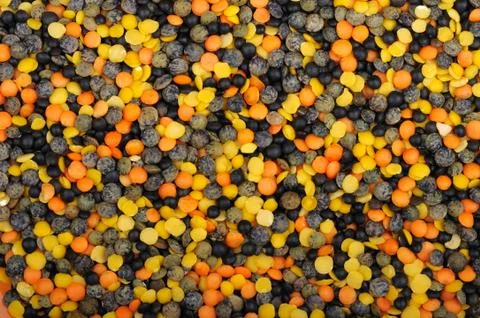 Mix of four types of lentils Stock Photos