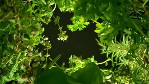 Mix of Fresh Herbs with Camera Motion up in the Air. Stock Footage 304496429