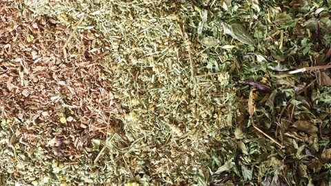 Mix of healing herbs close up Stock Footage 135589738