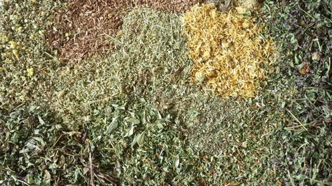 Mix of healing herbs close up Video stock 135589919