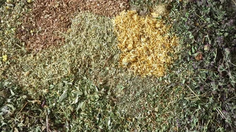 Mix of healing herbs close up Stock Footage 135590870
