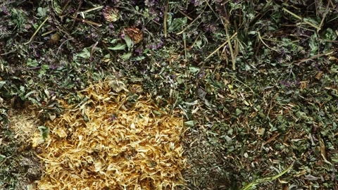 Mix of healing herbs close up Video stock 135591732