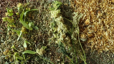 Mix of healing herbs close up Video stock 135591893