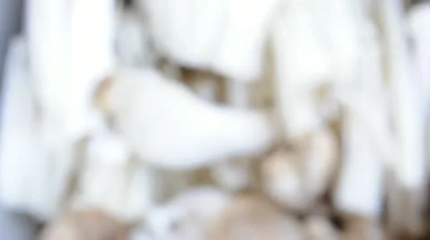 Mix mushrooms Stock Footage 22239233