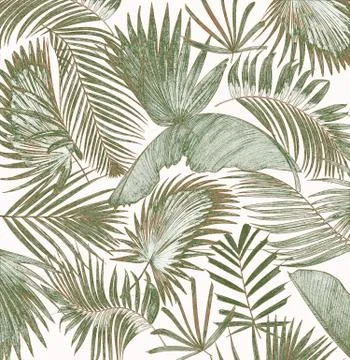 Mix palm leaf tree background Stock Photos