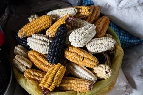 Mix of peruvian corns Foto stock