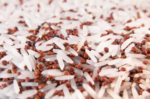 Mix of quinoa Stock Photos