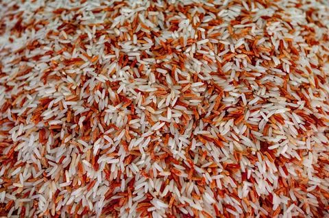 Mix rice Stock Photos