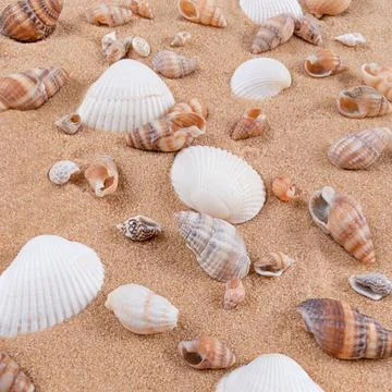 Mix of sea shells on sand background. Stock Illustration