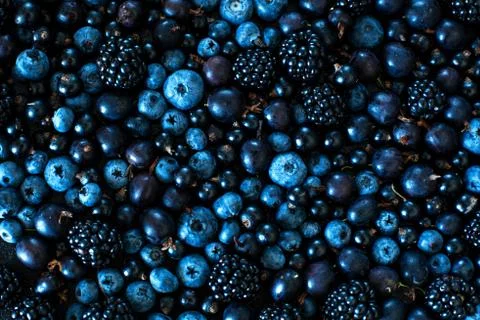 Mix set layout of different types of black berries on a black table. Stylish  Stock Photos