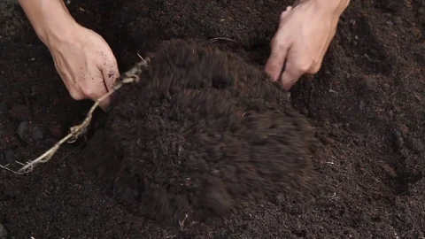 Mix soil and fertilizer Video stock 83176161