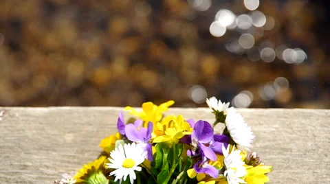 Mix of spring flowers Stock Footage 36536723