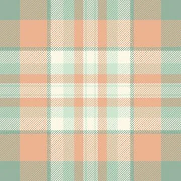 Mix textile seamless pattern, ethnic check tartan fabric. Paisley backgroun.. 库存插图