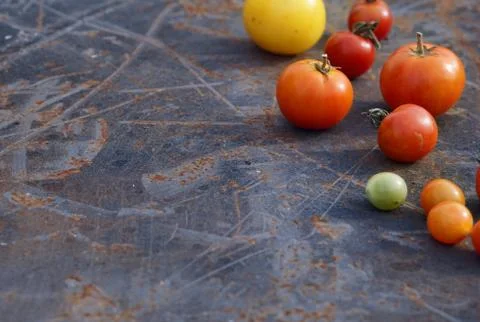Mix tomatoes in summer day. Composition of variety fresh tomatoes. Rustic dar Stock Photos