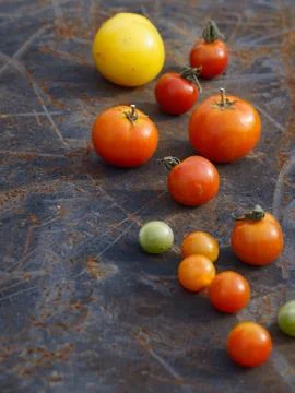 Mix tomatoes in summer day. Composition of variety fresh tomatoes. Rustic dar Stock Photos