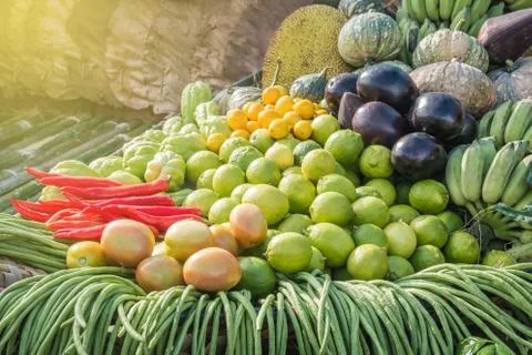 Mix Vegetable Stock Photos