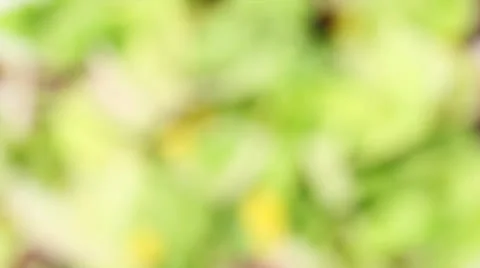 Mix Vegetables Stock Footage 24636836