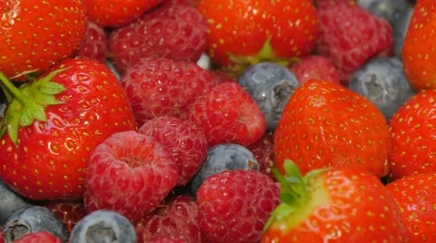 Mix of wild berries Stock Footage 51219186