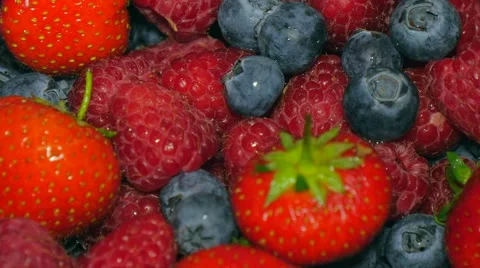 Mix of wild berries Stock Footage 51219341