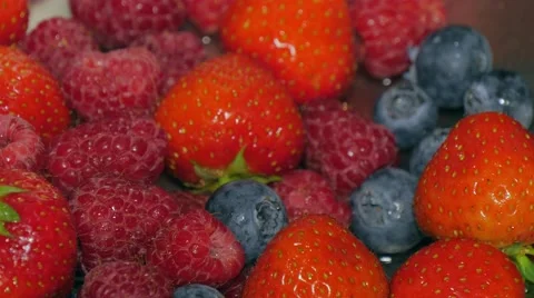 Mix of wild berries Stock Footage 51219441