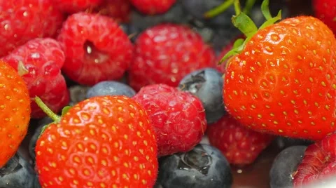 Mix of wild berries Stock Footage 51219465