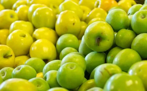 Mixed apple background. Stock Photos