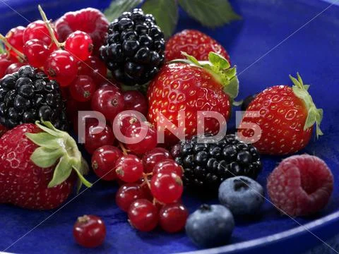 Mixed berries in a blue dish Stock Photos