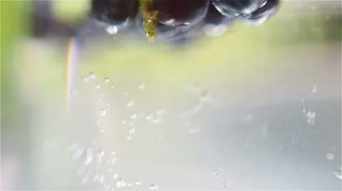 Mixed berries falling down in water Stockbeeldmateriaal 57102180