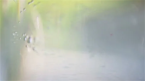 Mixed berries falling down in water Stock Footage 57200614