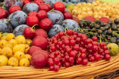 Mixed berries Stock Photos