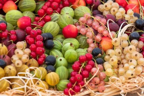 Mixed berries Stock Photos