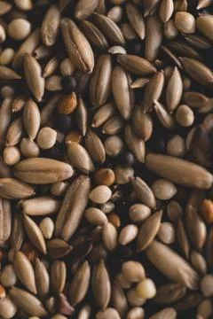 Mixed Bird seeds macro close up, Stock Photos