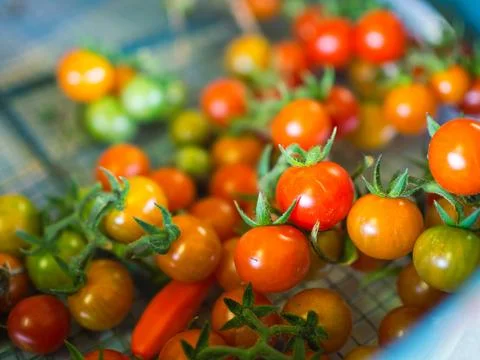 Mixed Cherry Tomatoes Stock Photos