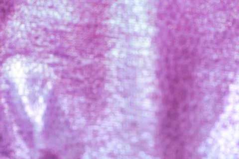 Mixed colours of lilac on blurry surface Stock Photos