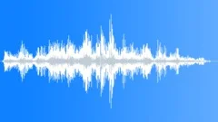 Mixed Continuous Outdoor Laughter Sound Effect